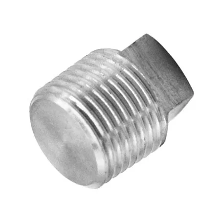 [SS-PLU-SQU-BSPT-6K-15-316] DN15 (1/2" NB) BSPT 6000 SERIES SQUARE HEAD PLUG SS 316