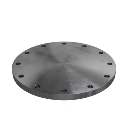 [CS-NB-FLA-250-FF-BLA-P10-S235JR] DN250 (10" NB) PN10 FF BLIND FLANGE CS S235 JR