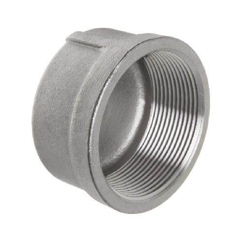 DN25 (1" NB) NPT 150# ROUND CAP SS 316