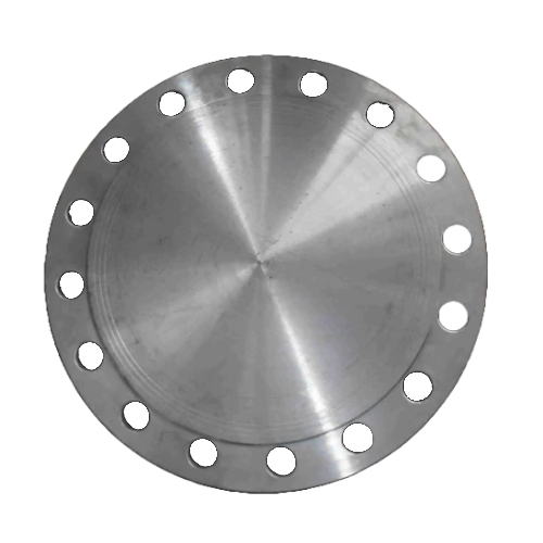 [SS-NB-FLA-300-RF-BLA-P25-316] DN300 (12" NB) PN25 RF BLIND FLANGE SS 316