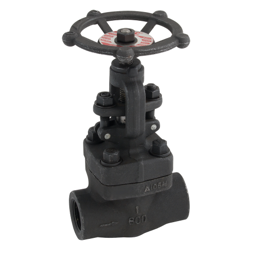 DN15 BSPT CLASS 800 A105N NO.8 TRIM REDUCED BORE FS GLOBE VALVE