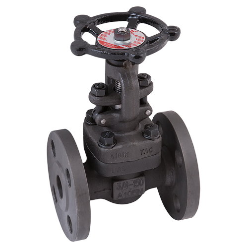 [CS-VAL-15-GLO-P40-800] DN15 PN40 FLANGED CLASS 800 A105N NO.8 TRIM REDUCED BORE FS GLOBE VALVE