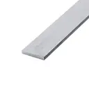 [SS-FLAT-25-3-316] 25 X 3MM STAINLESS STEEL FLAT BAR GR. 316