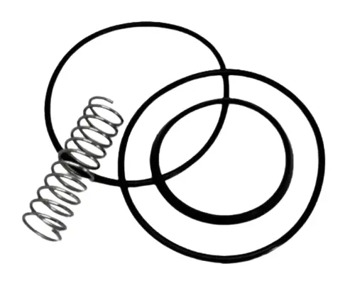[SS-HYG-VAL-NRV-PLN-50.8-2PC-SK] 2.00" OD HYG NRV SEAL KIT, EPDM & SPRING